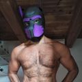 Profile picture hairypuppyxl.bsky.social