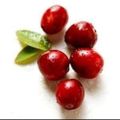 Profile picture randomcran.bsky.social