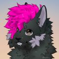 Profile picture asheslitterbox.neocities.org