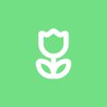 Profile picture ksou198555.bsky.social