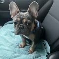 Profile picture lilbittybooks.bsky.social