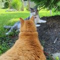 Profile picture minncatt.bsky.social