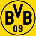 Profile picture bvbofficial.bsky.social