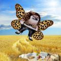 Profile picture freidaoctothorpe.bsky.social