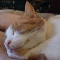 Profile picture daveb28966.bsky.social