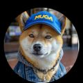 Profile picture dovewoman.bsky.social