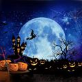 Profile picture averagejoe0812.bsky.social