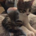 Profile picture christina735.bsky.social