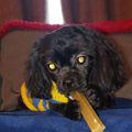 Profile picture dponte.bsky.social