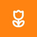 Profile picture draksingh.bsky.social