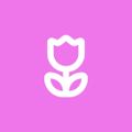 Profile picture debofoote.bsky.social