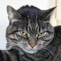 Profile picture lillyx76.bsky.social