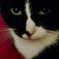 Profile picture nnnacy.bsky.social
