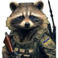 Profile picture dianee229.bsky.social