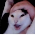 Profile picture sillybillyx3.bsky.social