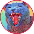 Profile picture laughingcatfibers.bsky.social