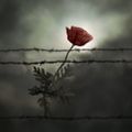 Profile picture philalethes.bsky.social