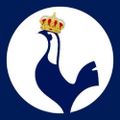 Profile picture konge108.bsky.social