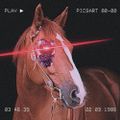 Profile picture horsedisc.bsky.social