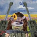 Profile picture booyasrevenge.bsky.social