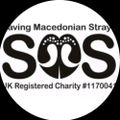 Profile picture savingmacedonian.bsky.social