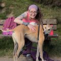 Profile picture didwewrite.bsky.social