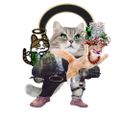 Profile picture meowst.bsky.social