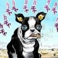 Profile picture tonindalapa.bsky.social