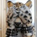 Profile picture klfjlgjhjfkg.bsky.social