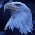 Profile picture uthless.bsky.social