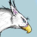 Profile picture kerekes.bsky.social