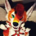 Profile picture spicynightless.bsky.social