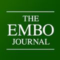 Profile picture embojournal.org