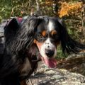 Profile picture zabela0.bsky.social