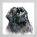 Profile picture newfie912.bsky.social