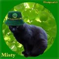 Profile picture suehay55.bsky.social
