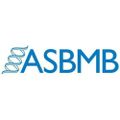 Profile picture asbmb.bsky.social