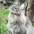 Profile picture suzyqueboy.bsky.social