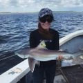 Profile picture marinebiologale.bsky.social