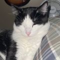 Profile picture sodak605me.bsky.social
