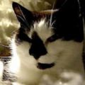 Profile picture liwill.bsky.social