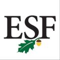 Profile picture sunyesf.bsky.social