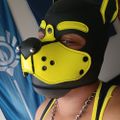 Profile picture pupryd3rr.bsky.social