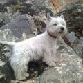 Profile picture correcaminos-56.bsky.social