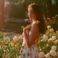 Profile picture stellablooms.bsky.social