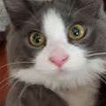 Profile picture msbwul.bsky.social