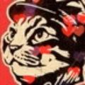 Profile picture kcar.me