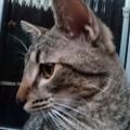 Profile picture ron6.bsky.social
