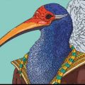 Profile picture naduwingedwisdm.bsky.social