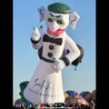 Profile picture baltohon.bsky.social